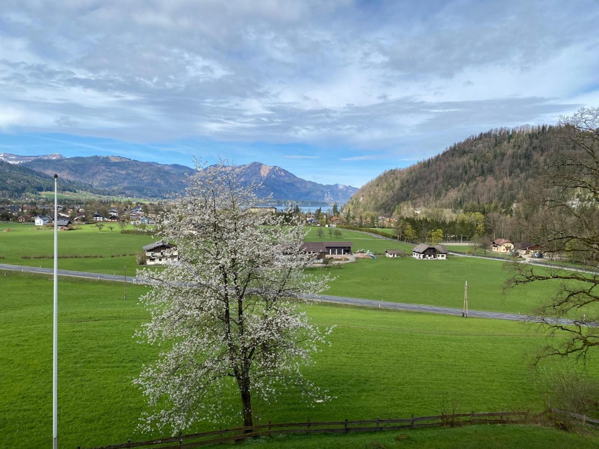 Seeblick 219 Strobl Extérieur photo
